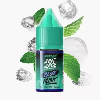 Just Juice Mint Range Salts Blue Nic Salt 10 ml – Nikotinsalz