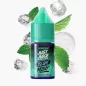 Just Juice Mint Range Salts Blue Nic Salt 10 ml – nikotinová sůl
