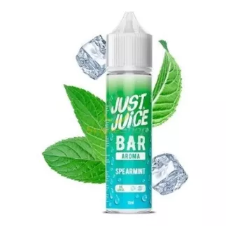 Just Juice Bar Spearmint Longfill 12 ml – Longfill-Aroma | vapecity24