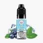 Dinner Lady Blueberry Menthol 10 ml fľaša – čučoriedka a mentol