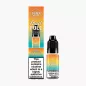 Dinner Lady Fruit FULL Salt Mango Pineapple Ice 10 ml krabica – mango, ananás a ľad