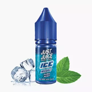 Just Juice Salt ICE Pure Mint 10 ml fľaša – čistá mäta s ľadom