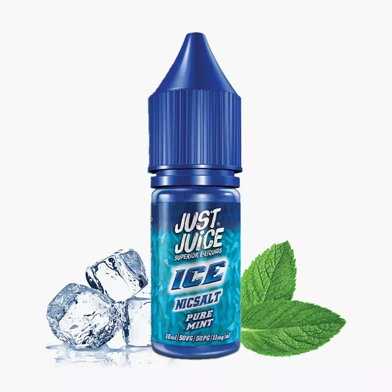 Just Juice Salt ICE Pure Mint 10 ml fľaša – čistá mäta s ľadom