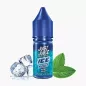 Just Juice Salt ICE Pure Mint 10 ml fľaša – čistá mäta s ľadom