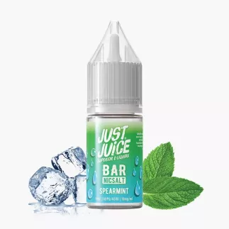 Just Juice Salt Spearmint 10 ml fľaša – mäta