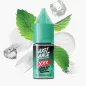 Just Juice Mint Range Salts Triple Mint 10 ml fľaša – trojitá mäta